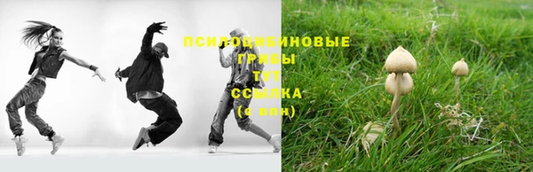 mdpv Лиски