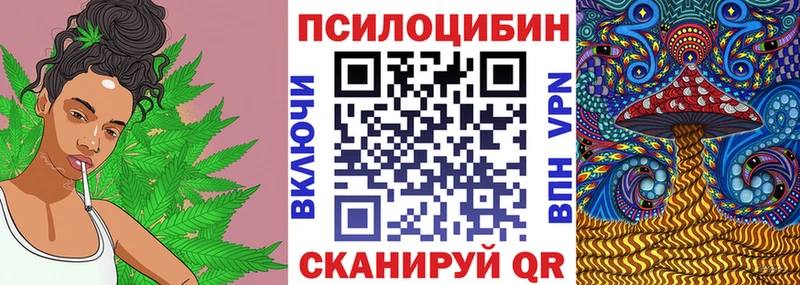 Псилоцибиновые грибы Psilocybine cubensis  сколько стоит  Райчихинск 